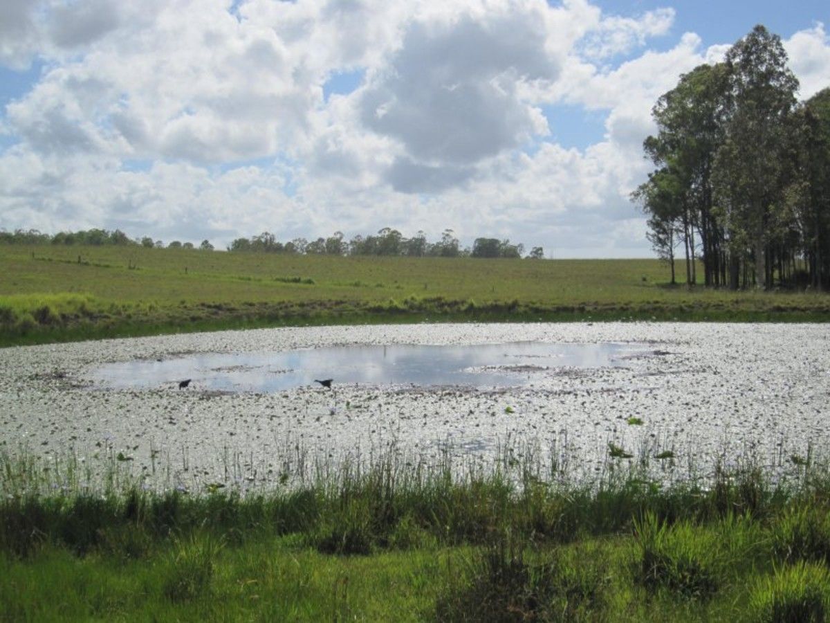 255 Avenue Road, Myrtle Creek Property History & Address Research