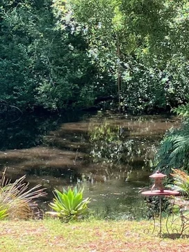 Additional image 18 of 160 Nippards Track, Woorarra West VIC 3960