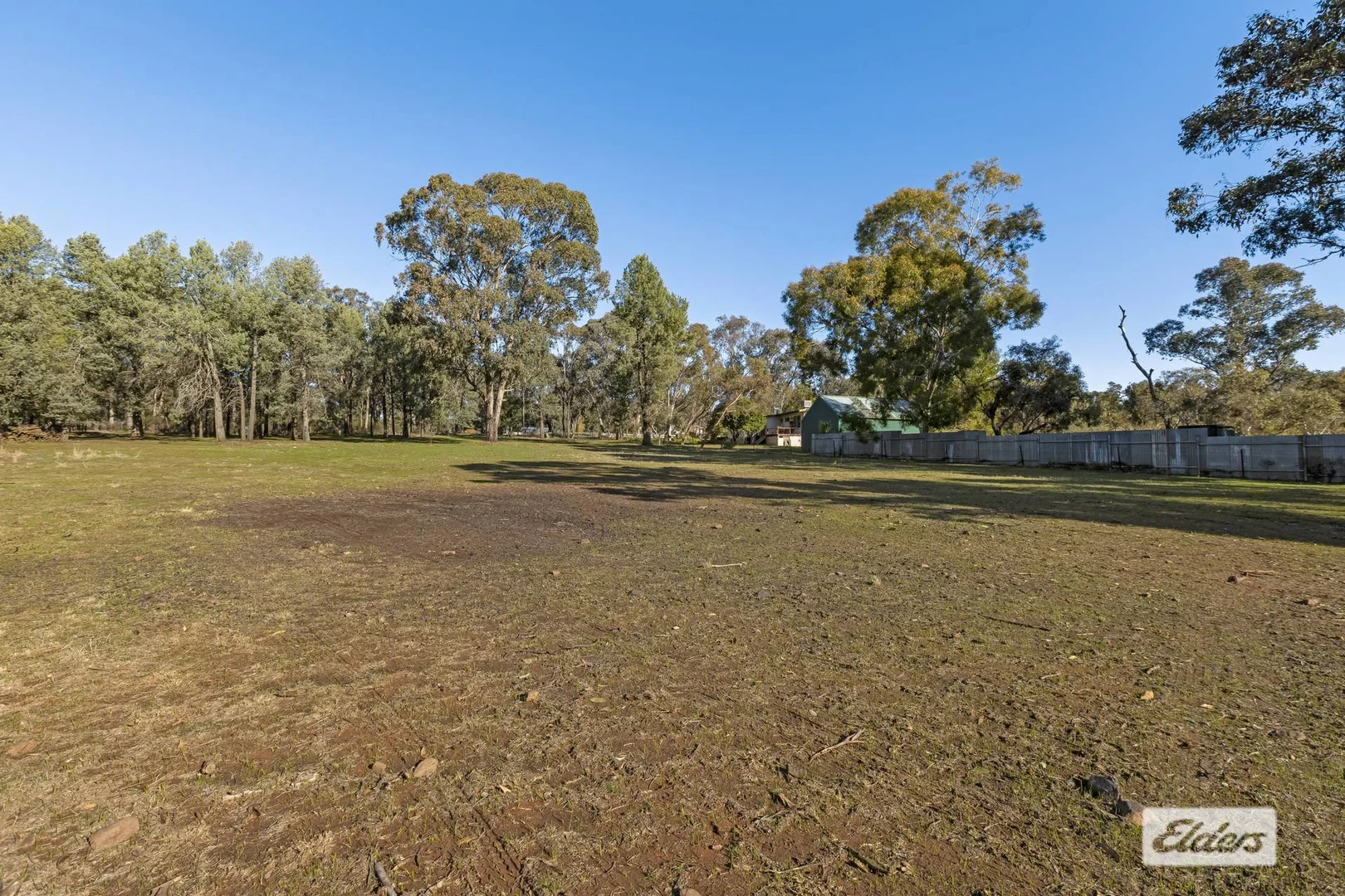 Image 14