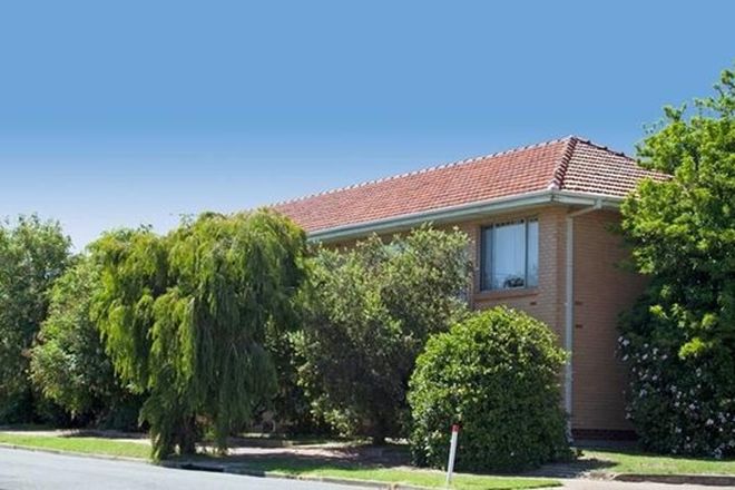 Picture of 4/195 St Bernards Road, ROSTREVOR SA 5073