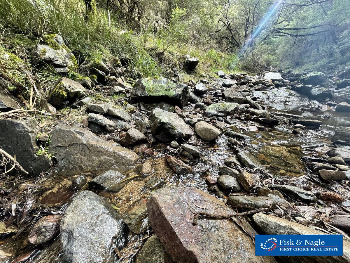 85/305 Big Jack Mountain Road, Burragate NSW 2550 House for Sale