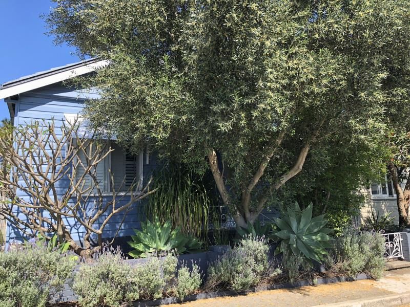 3 bedrooms House in 9 Tarin Street MAYFIELD EAST NSW, 2304