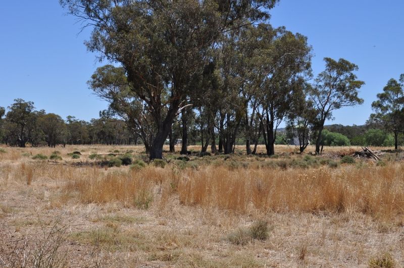 Lot 8 Off Noble Street, Eugowra NSW 2806, Image 1