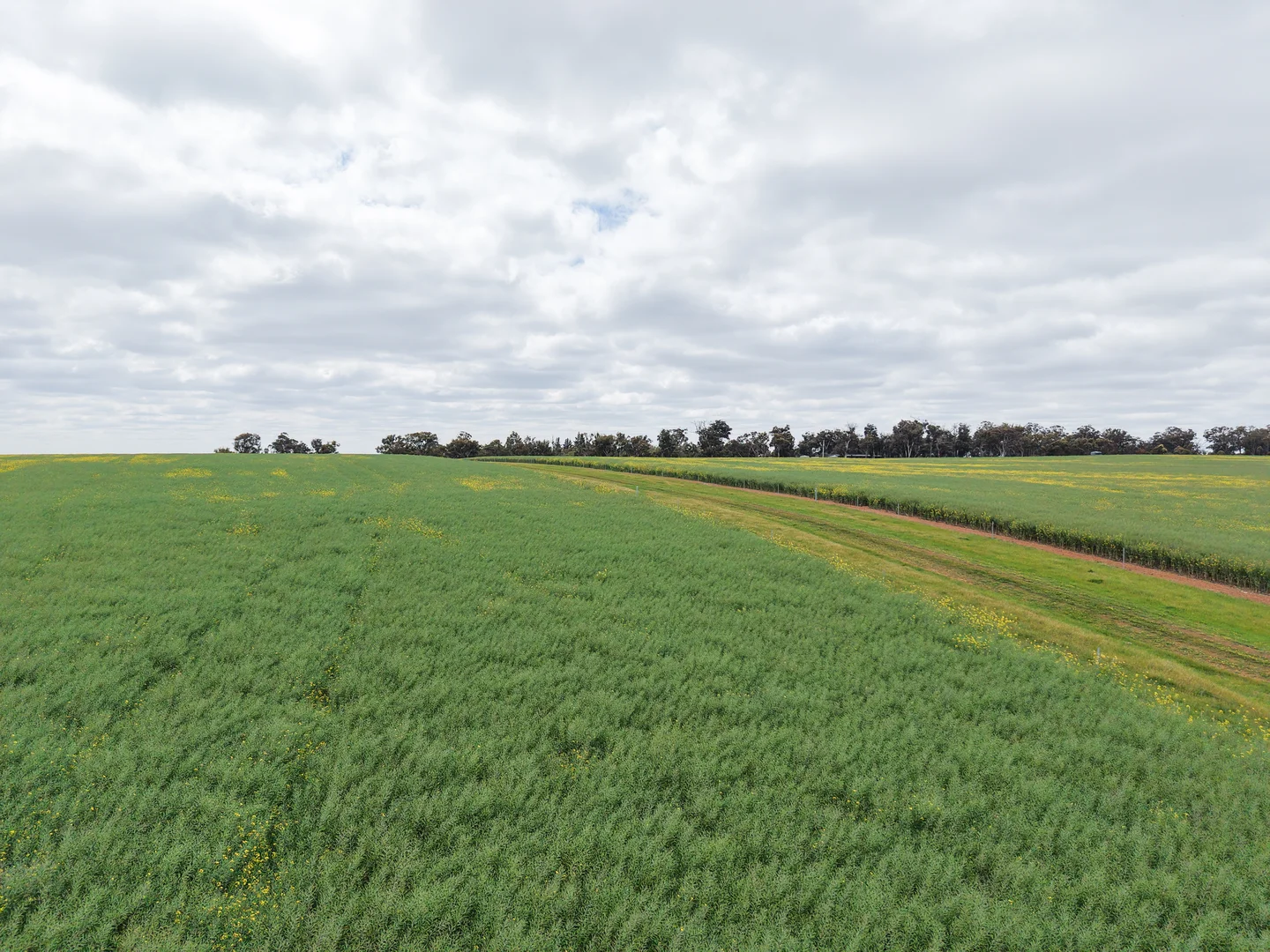 Image 24
