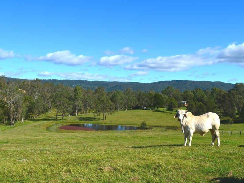 12a Victor Russell Drive, Samford Valley QLD 4520, Image 1