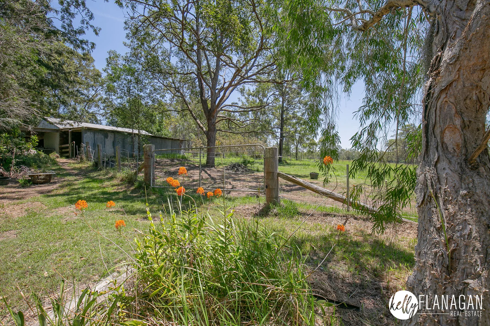 Additional image 24 of 36 Ribbes Access, Yessabah NSW 2440