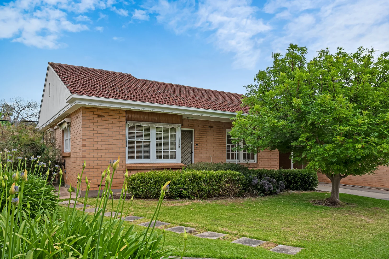 Additional image 2 of 3/19 William Street, Hawthorn SA 5062