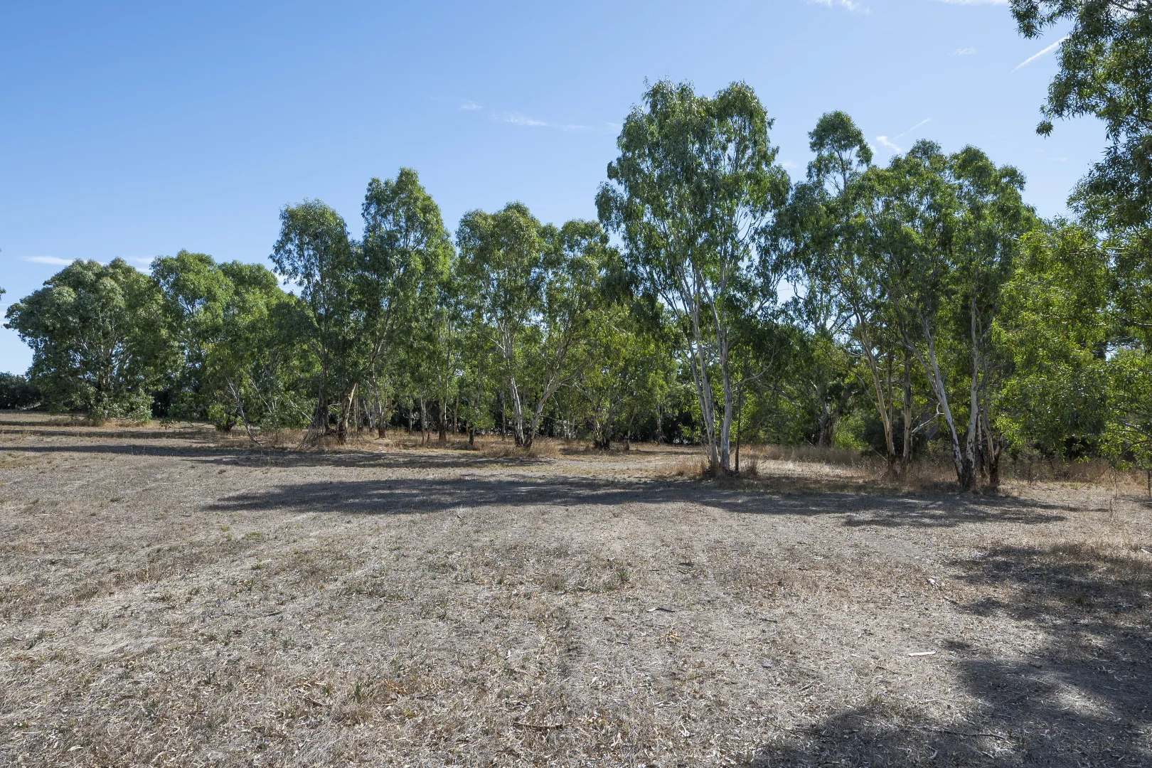 Additional image 10 of 163 McLaren Flat Road, McLaren Flat SA 5171