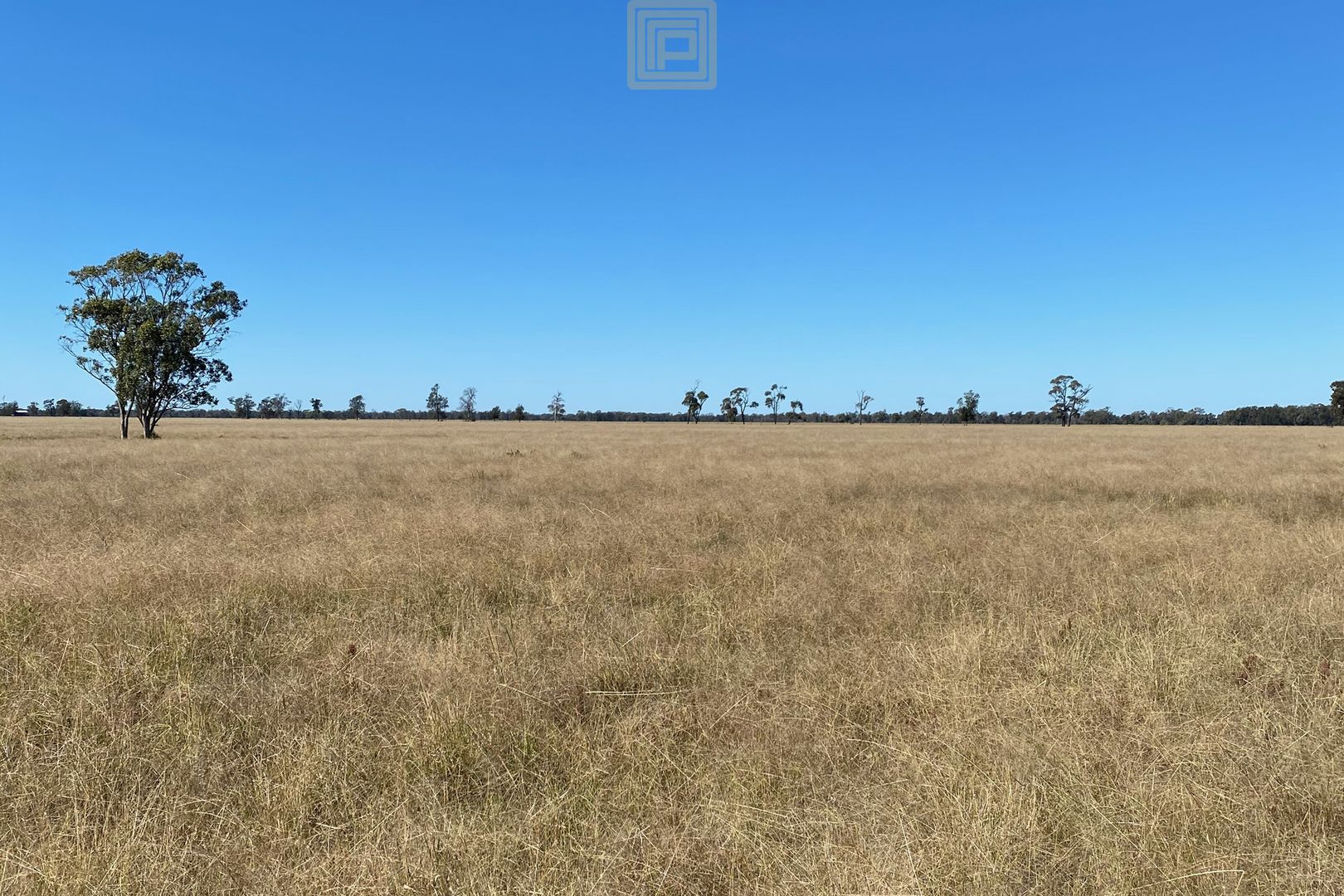 Cardonis Road, Wee Waa NSW 2388, Image 2