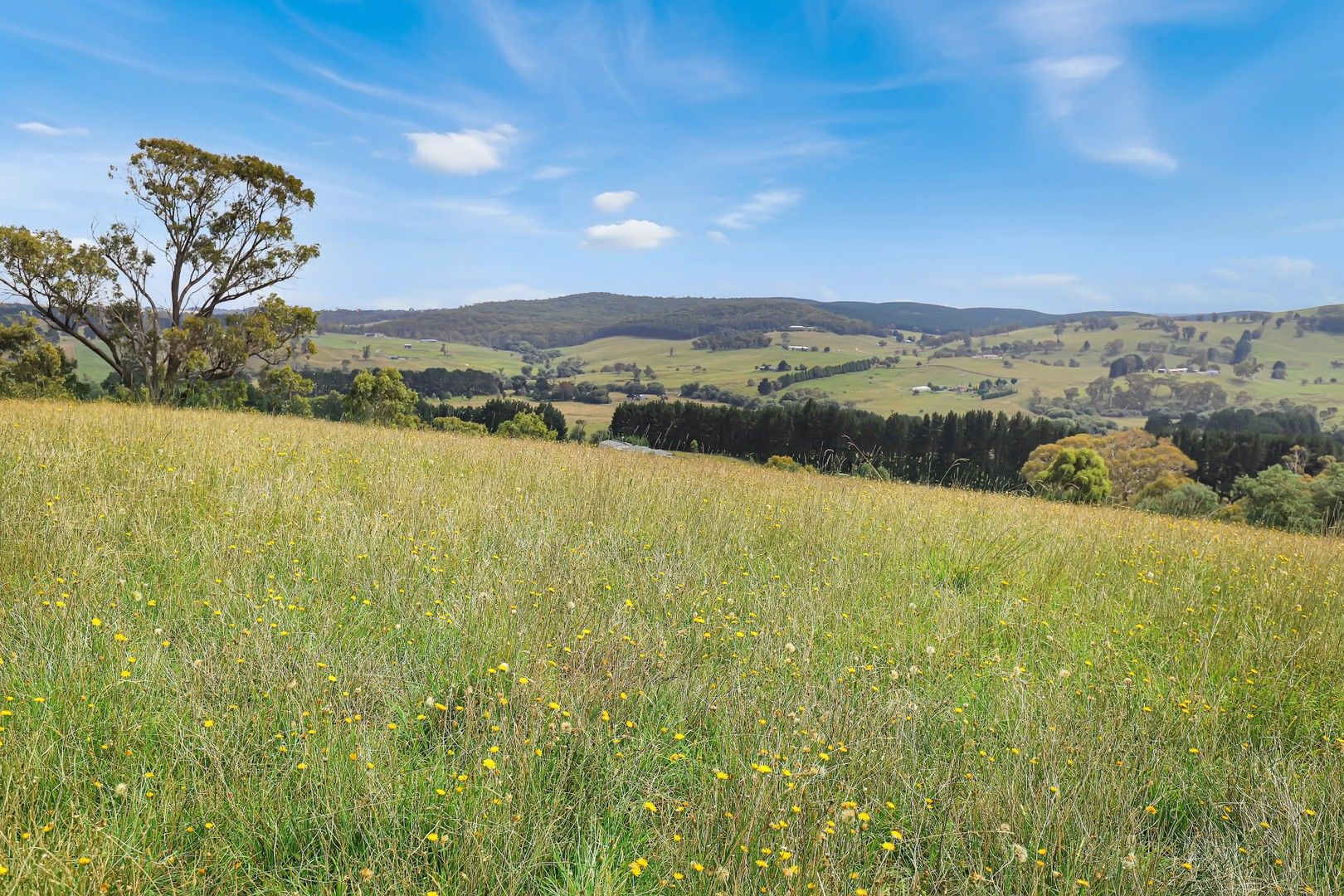42 Wilson Drive, Oberon NSW 2787 Vacant Land for Sale Domain