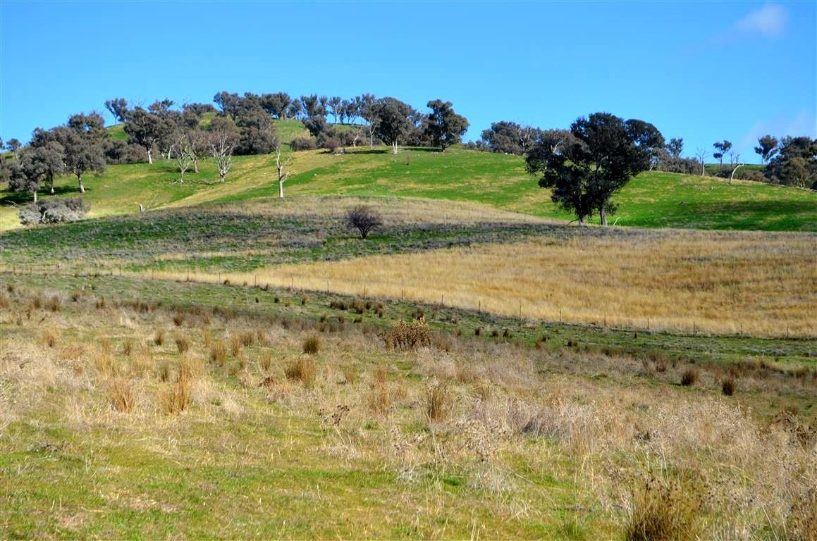 'Tanyard Creek' Stantons Road, Adelong NSW 2729, Image 0