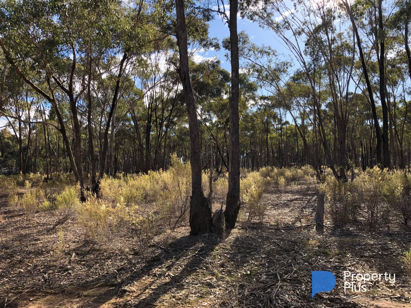 Image 8