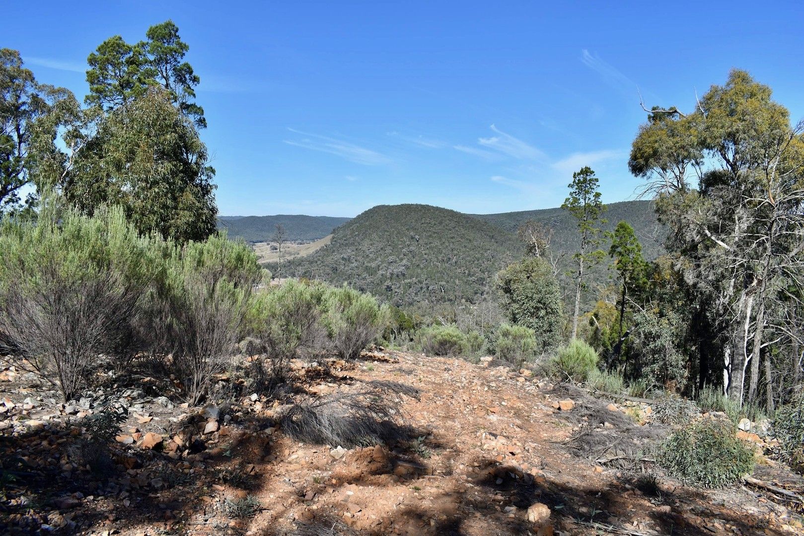 Gooloogong NSW 2805, Image 0