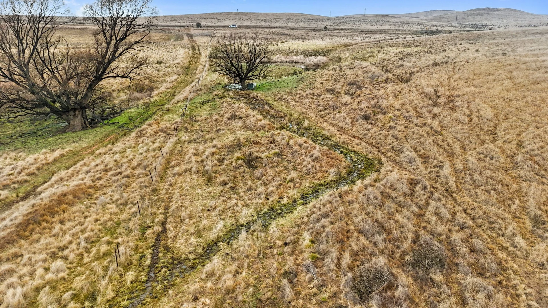 Image 14