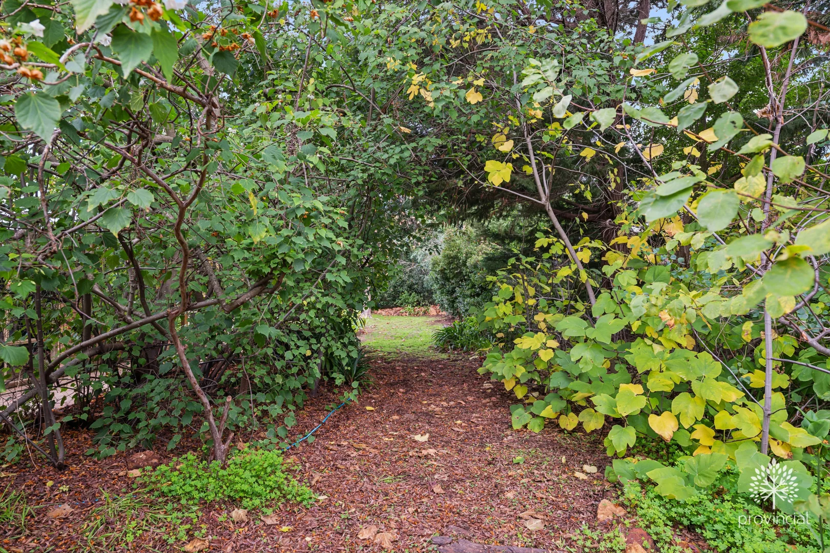 Image 23