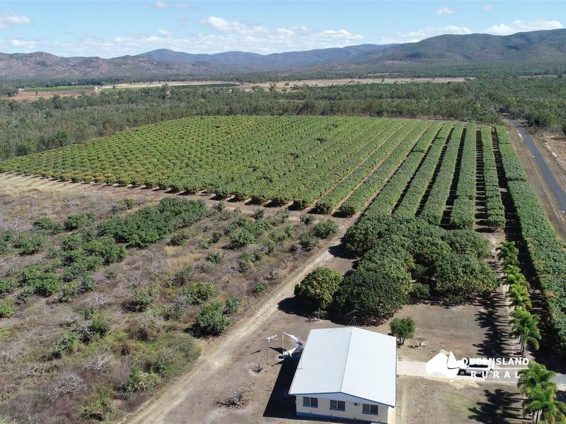 131 Bullaburrah Creek Road, Dimbulah QLD 4872 Specialist Farm for Sale