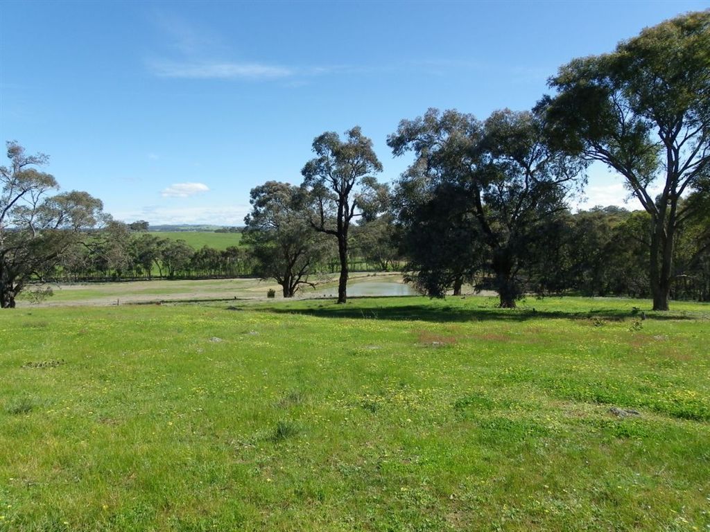 Lot 11 Raeburns Road, Redesdale VIC 3444, Image 0