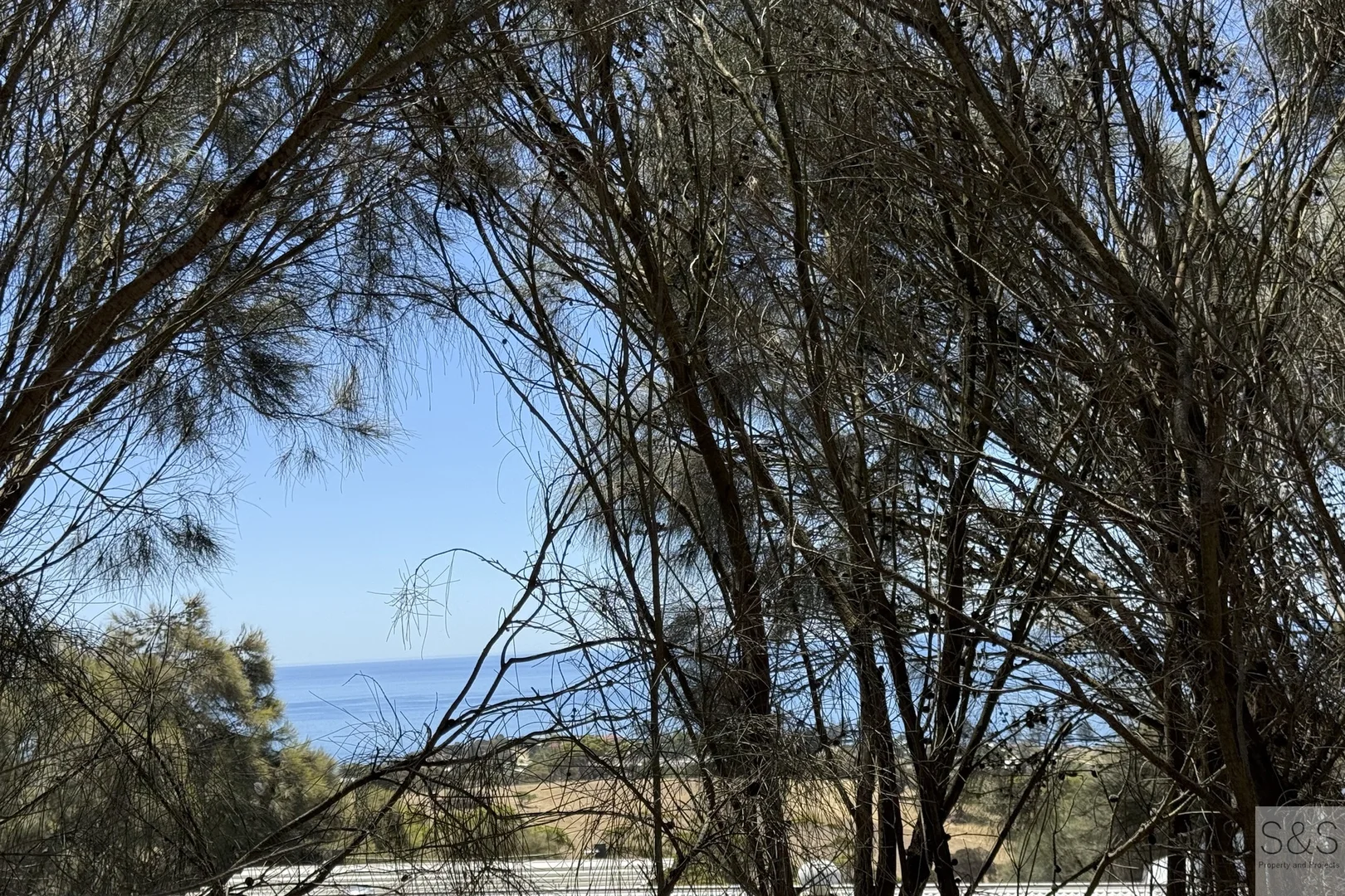 Image 14
