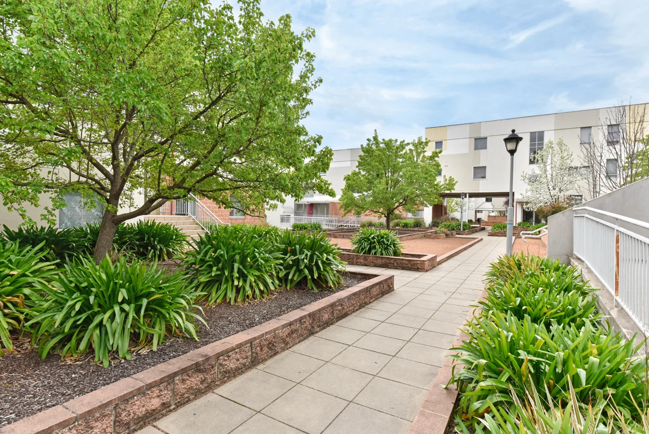 Image 21