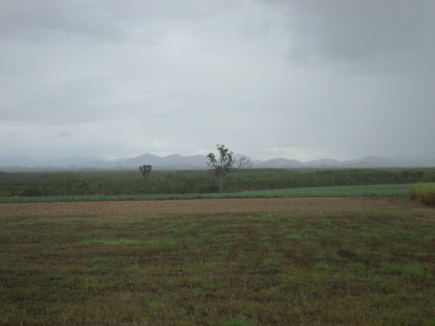 Lot 483 Mathers Creek Road, Mount Ossa QLD 4741 House for Sale