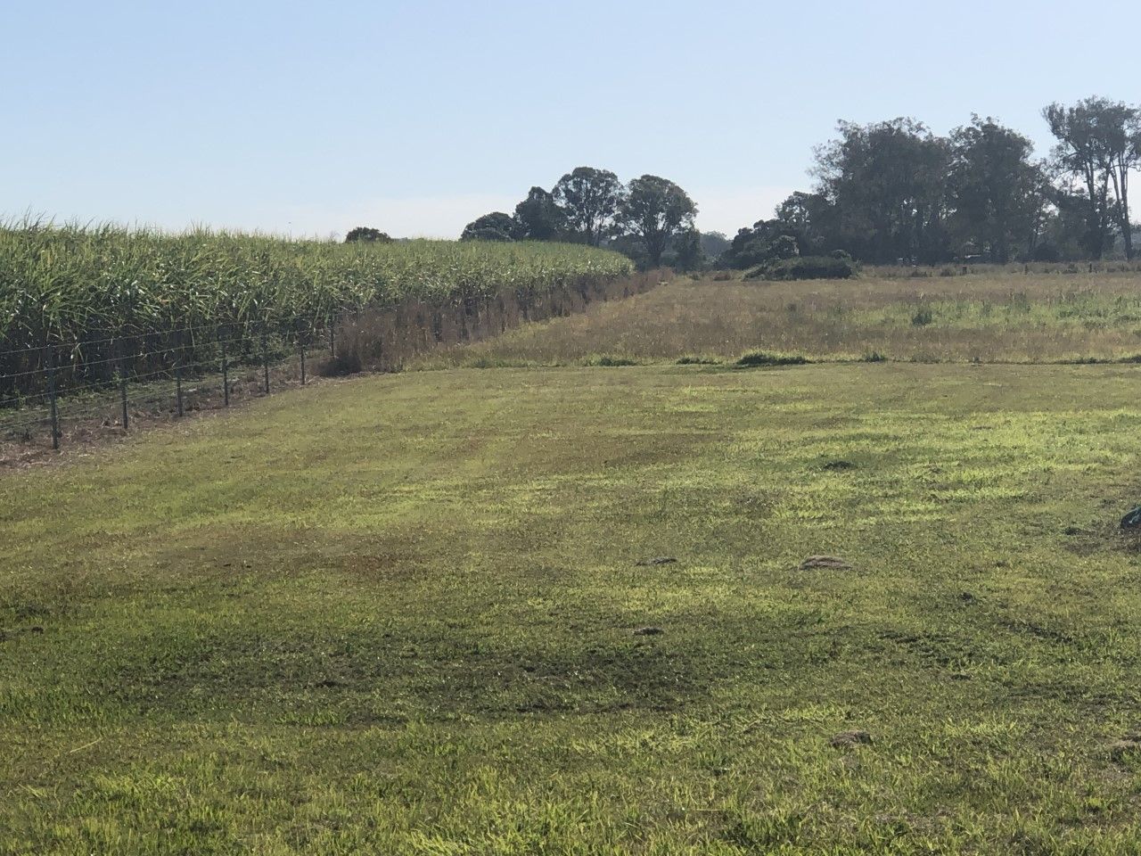 113 Zipfs Road, Alberton QLD 4207 Vacant Land for Sale 5,500,000