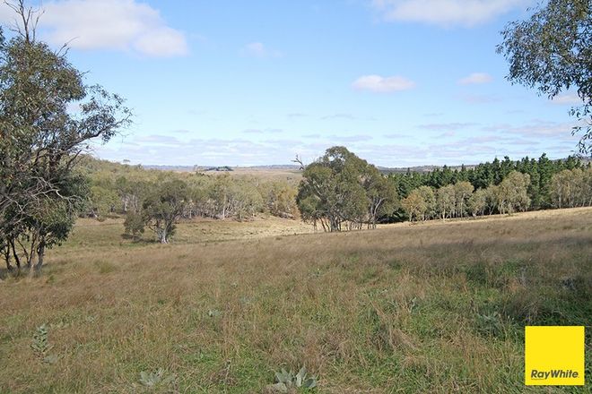 Picture of 757 Caddigat Road, DRY PLAIN NSW 2630