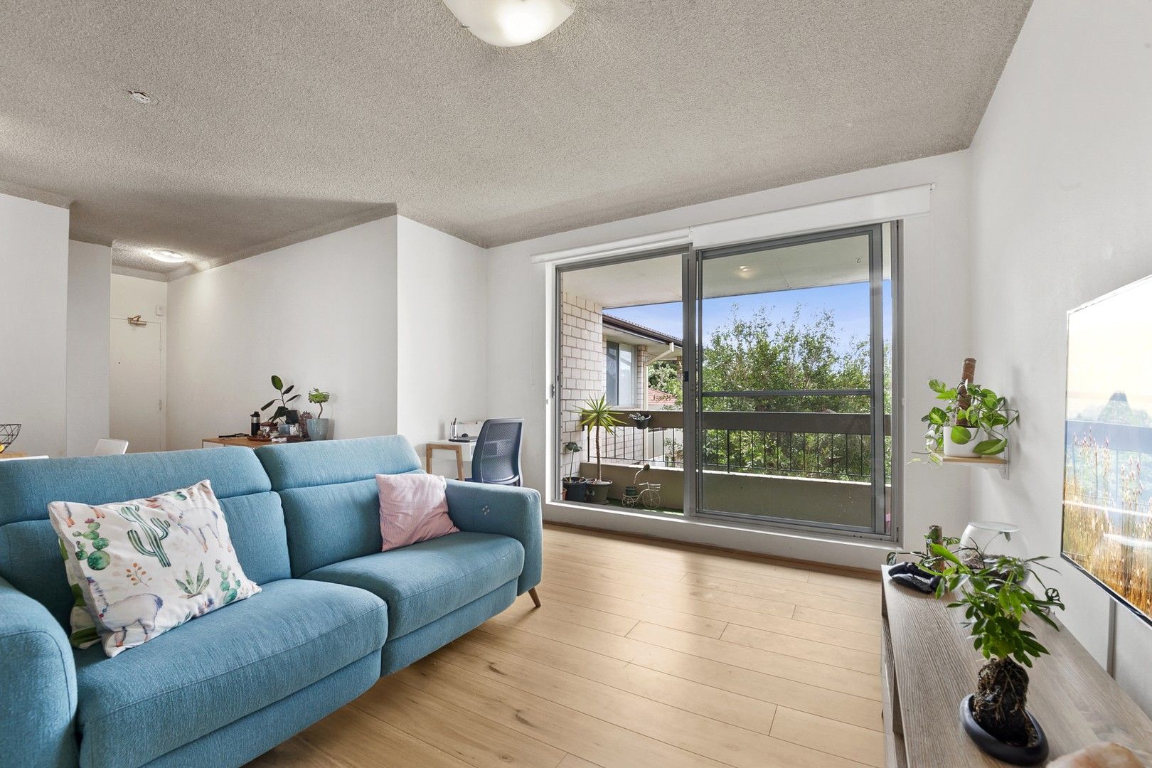 22/35 Richmond Avenue, Dee Why NSW 2099 Apartment For Rent Domain