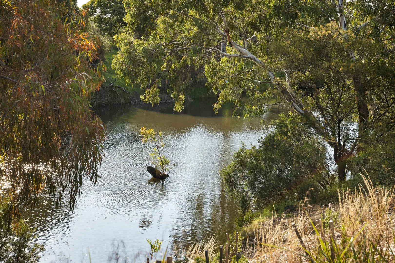Image 32