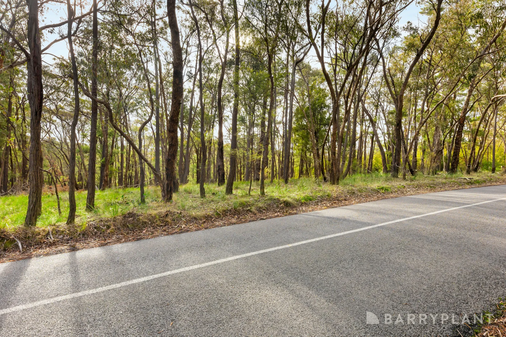 Additional image 7 of 935 Buttermans Track, Christmas Hills VIC 3775