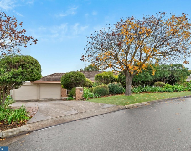 19 Celadon Court, Wynn Vale SA 5127