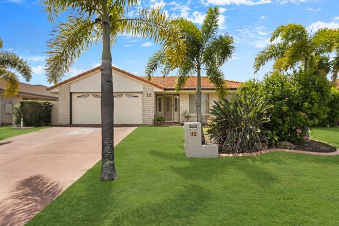 Picture of 12 Mainsail Court, POINT VERNON QLD 4655