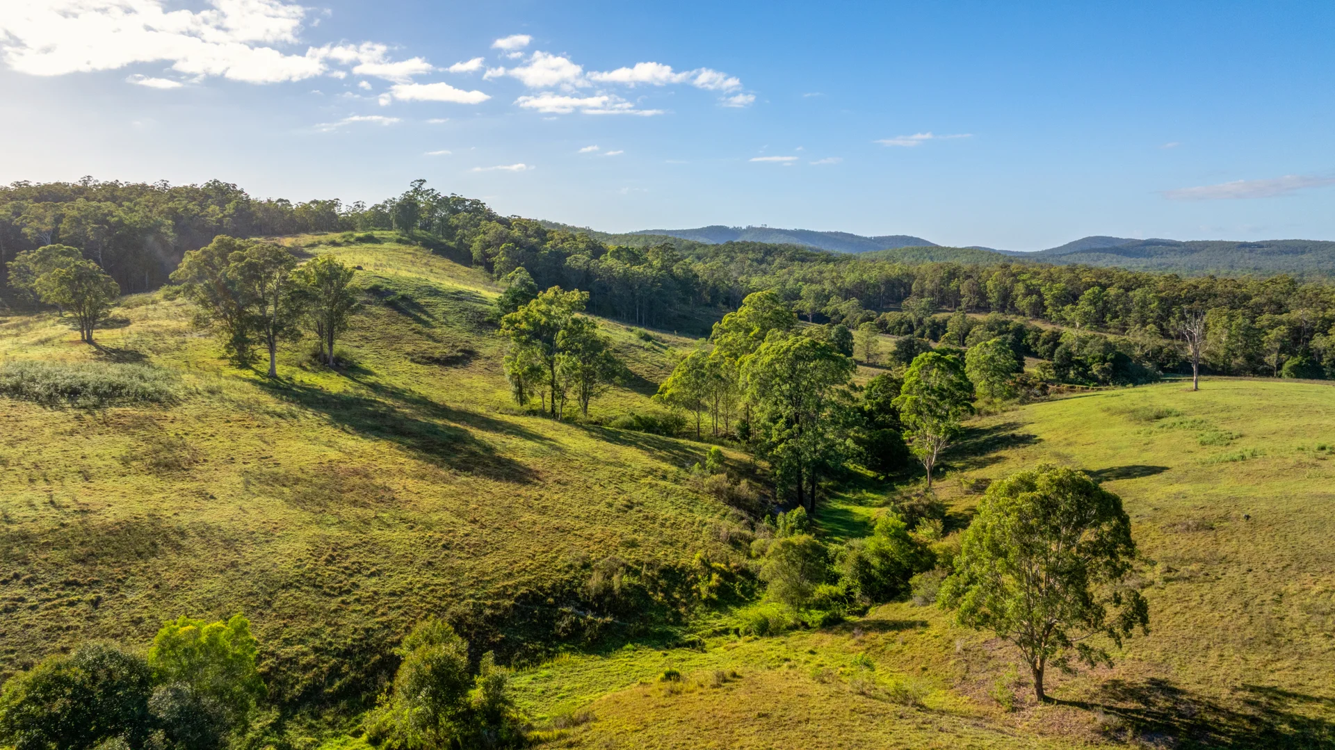Additional image 13 of 2898 The Bucketts Way, Stroud NSW 2425