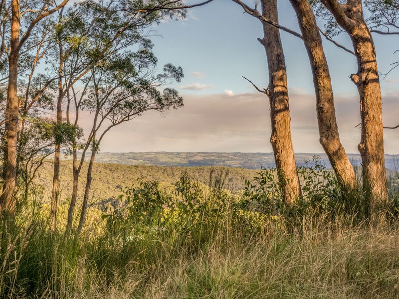 254 Deviation Road, FOREST RANGE SA 5139, Image 2