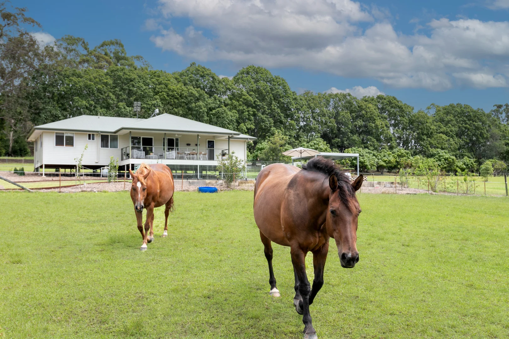 Additional image 3 of 46 Knobby Glen Road, Kandanga QLD 4570