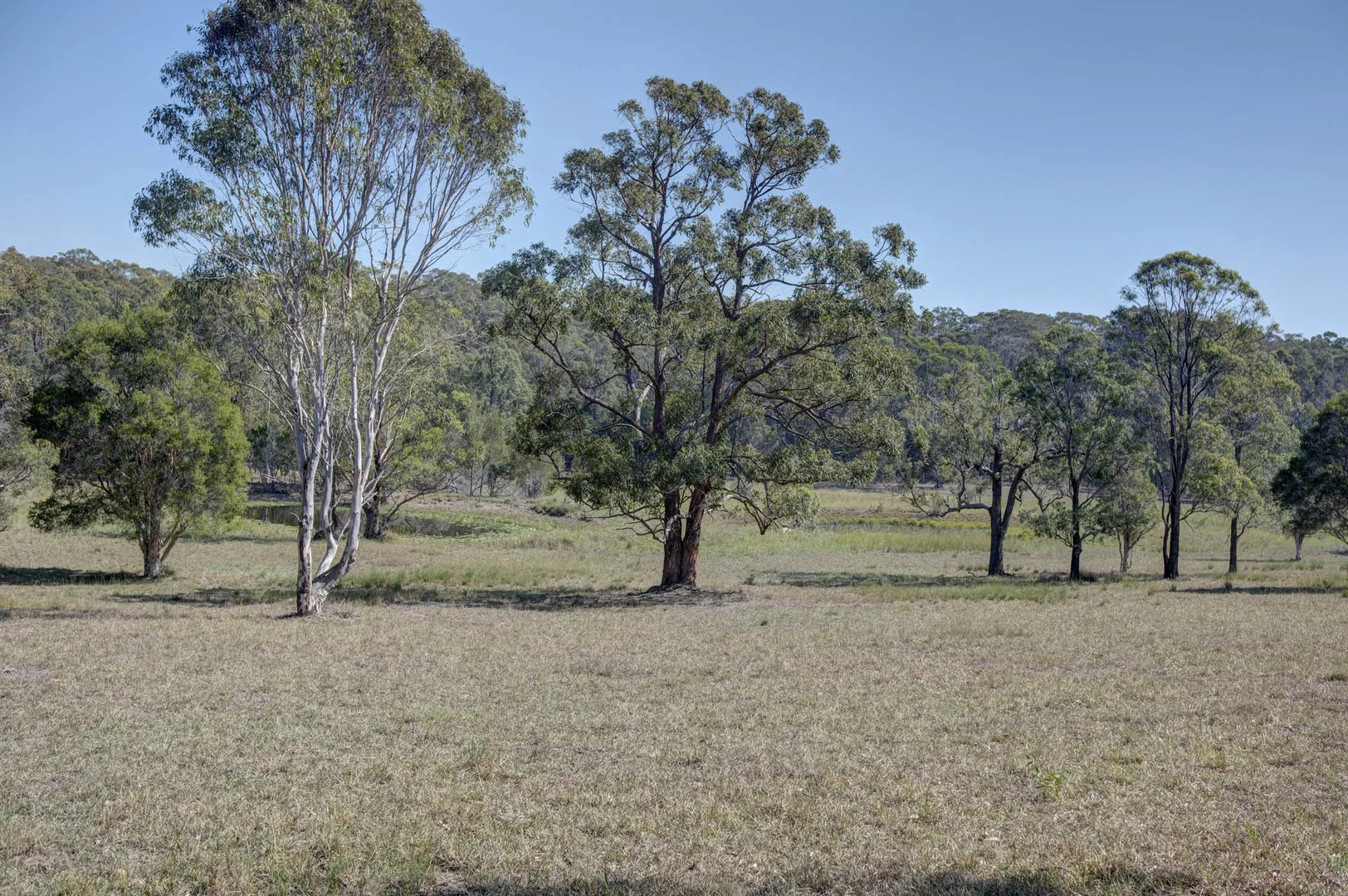 Image 19