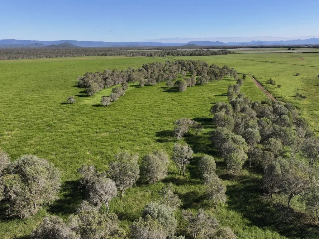 Additional image 14 of Pomona Road, Ingham QLD 4850