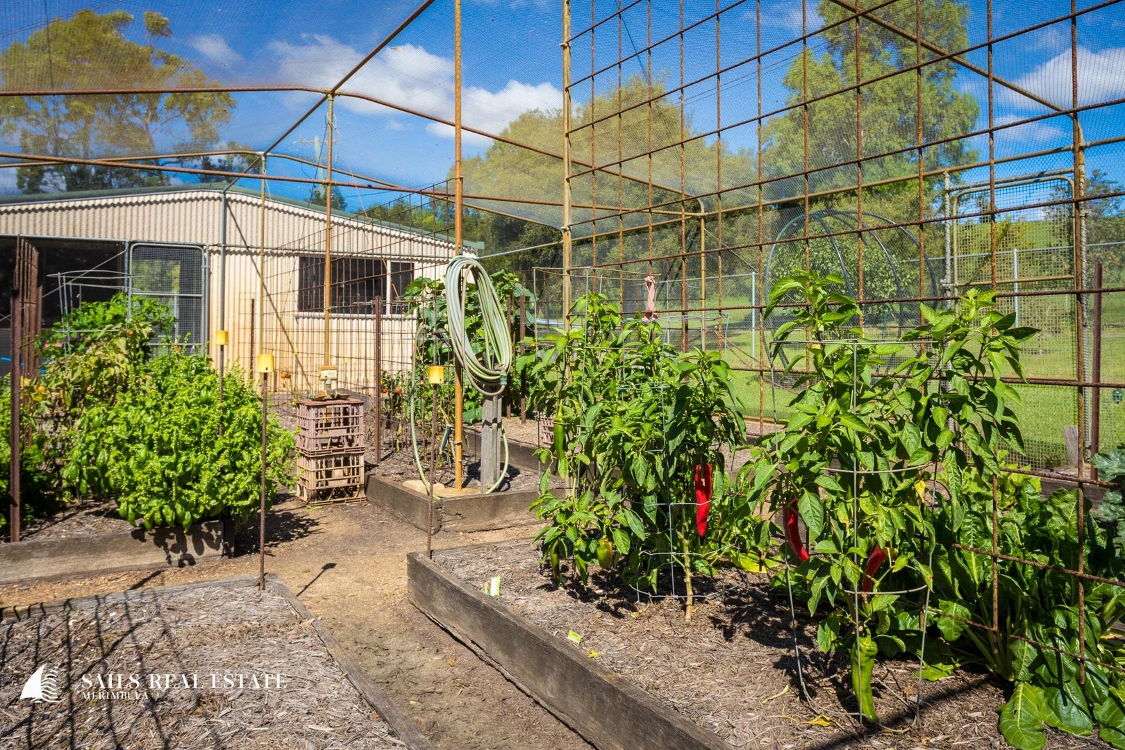 Additional image 4 of 471 Mount Darragh Road, Lochiel NSW 2549