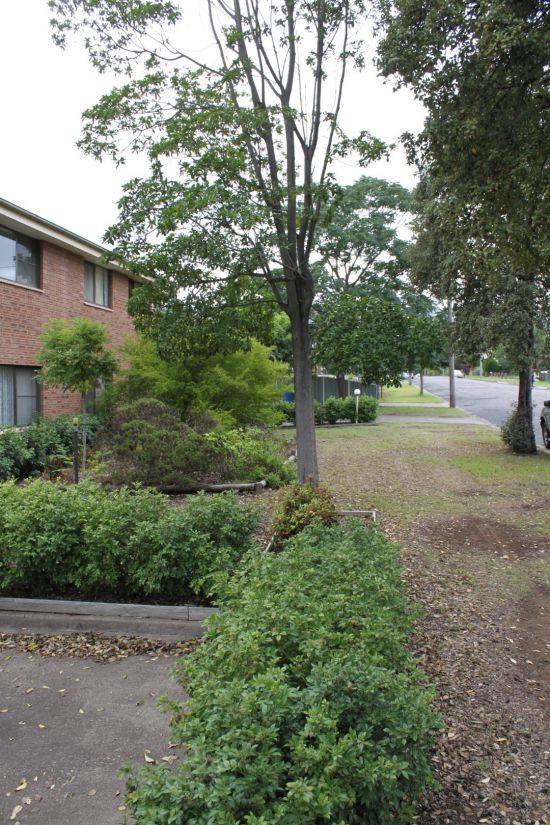 4 6 Main Street Scone Nsw 2337 Domain