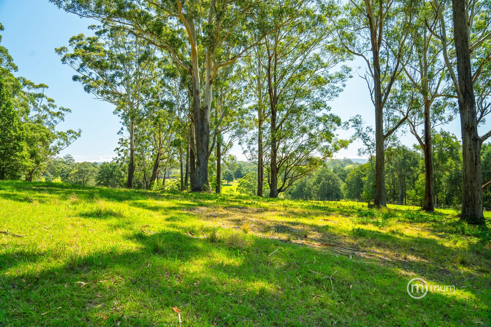 Additional image 26 of Milton NSW 2538