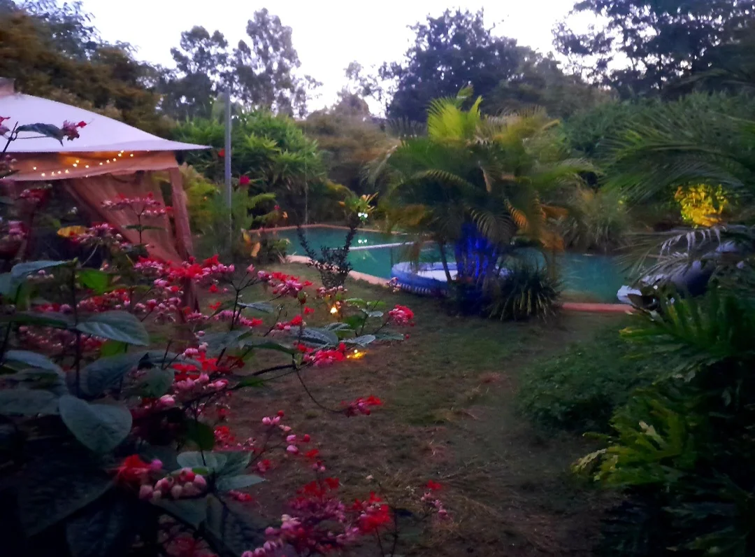 Image 23
