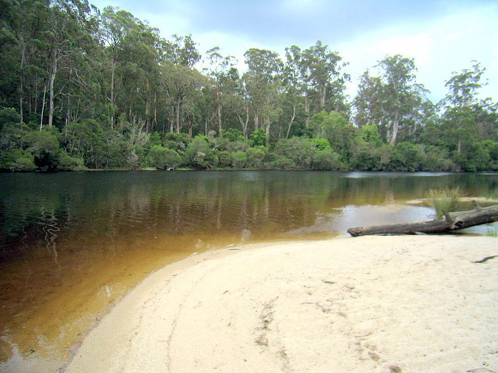 Lot 1 Wallagaraugh Road, Genoa VIC 3891, Image 1