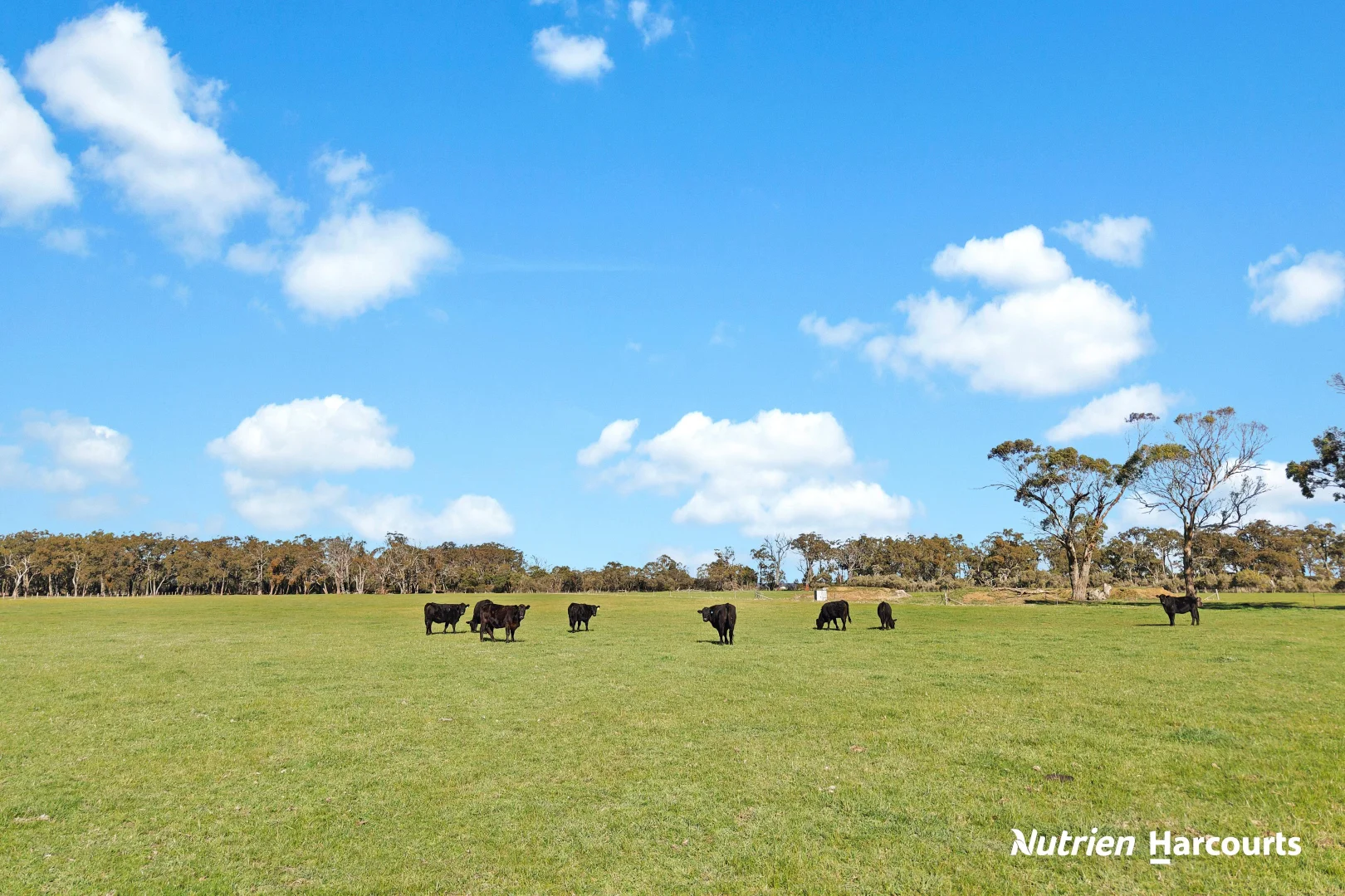 Additional image 24 of 230 Old Sale Road, Yarram VIC 3971