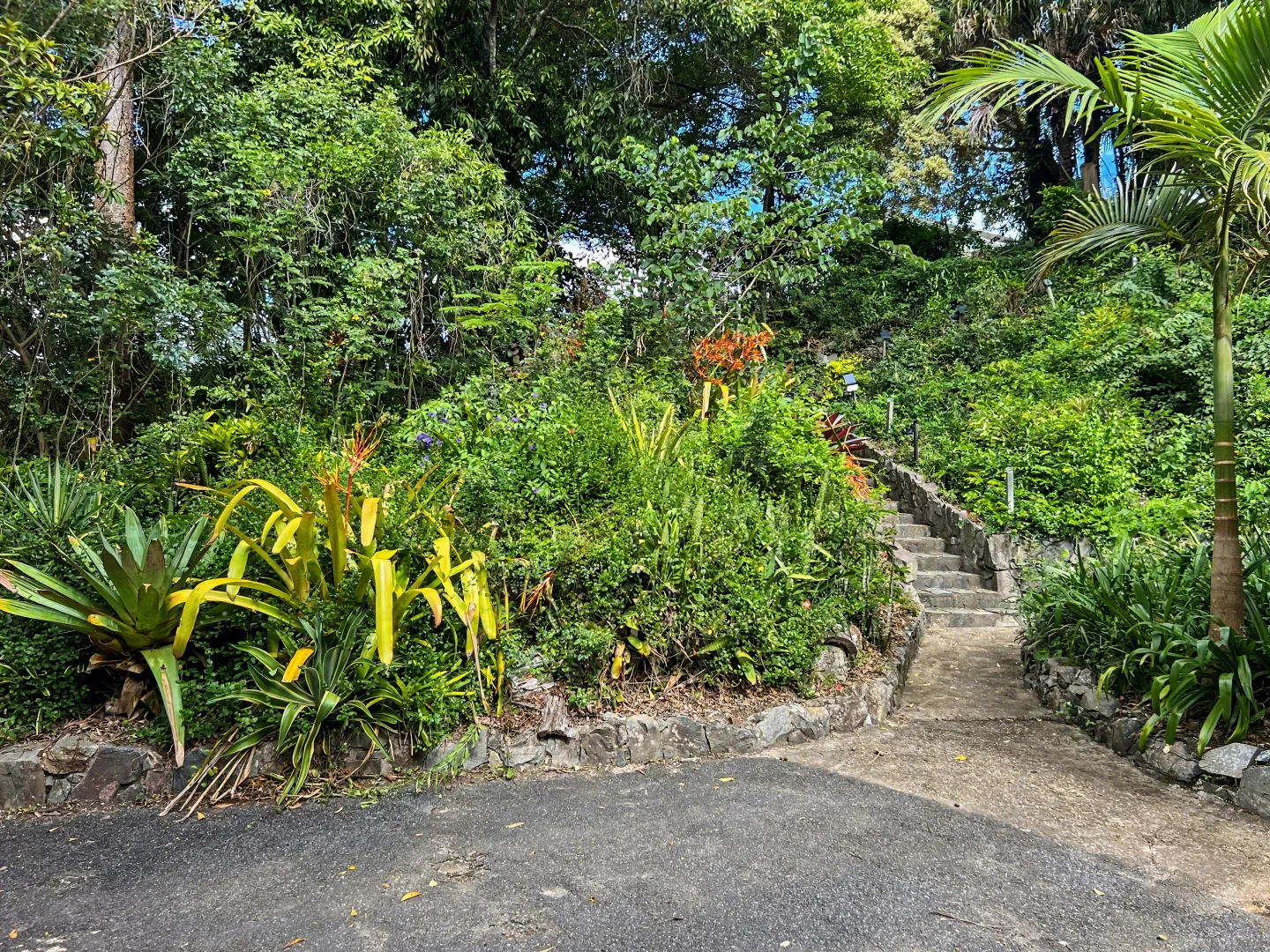 Additional image 19 of 269 SCHREIBERS RD, Cooran QLD 4569