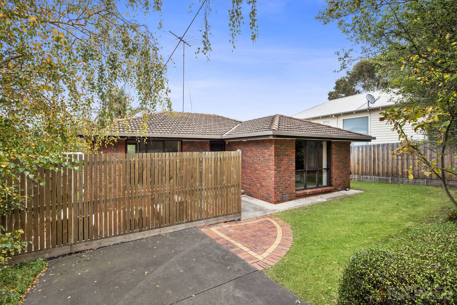 41 Austin Street, Newtown VIC 3220, Image 0