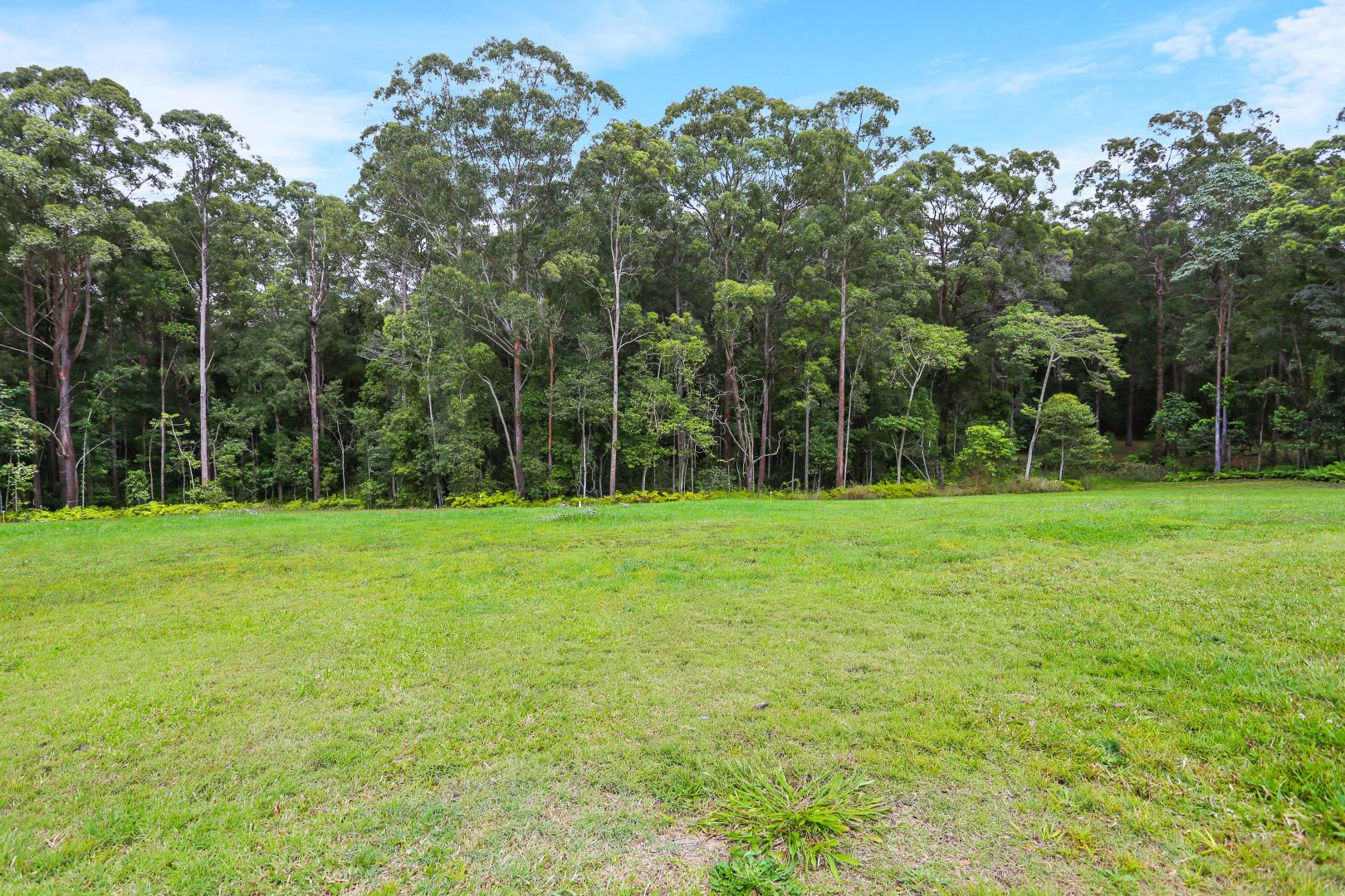 Lot 7/84 Taylors Road, Tanawha QLD 4556, Image 1