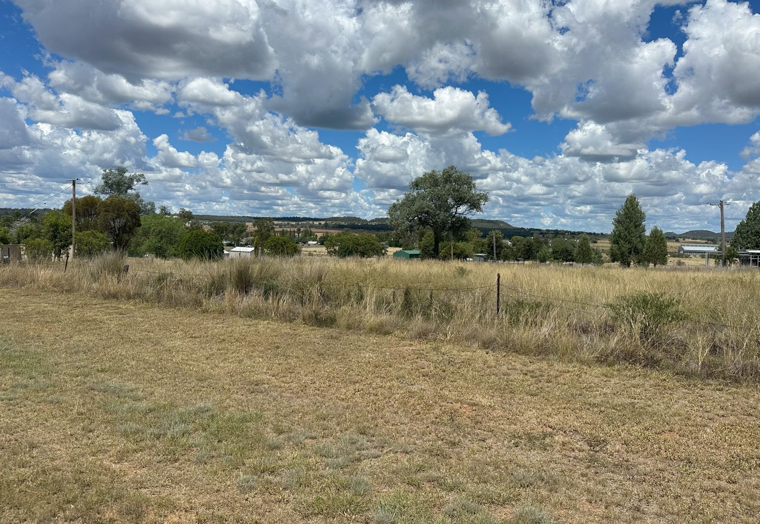 14 Jacaranda Drive, Warialda Rail NSW 2402 Domain