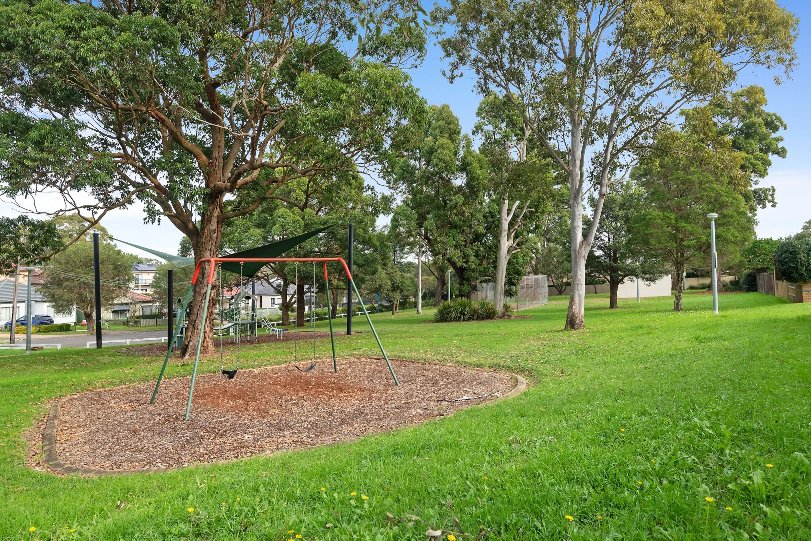 Image 12