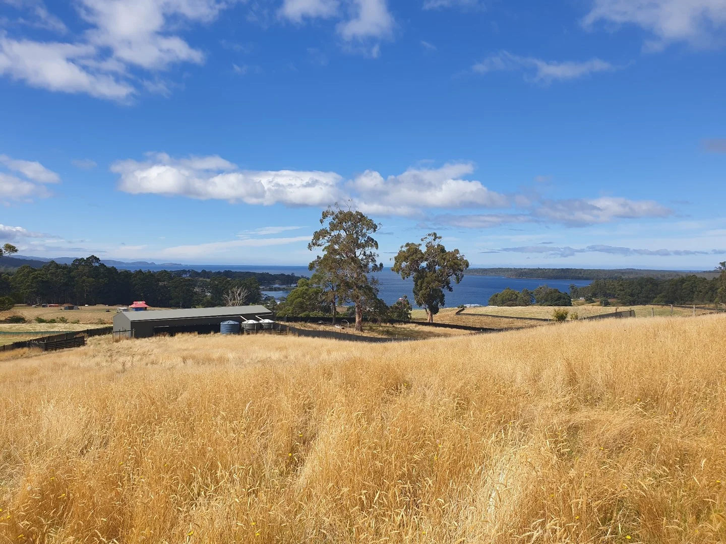 Primary image of Lots 1 & 3 Plummers Road, Southport TAS 7109