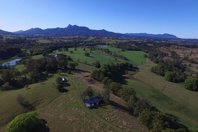 Picture of 118 Stoddarts Road, TYALGUM CREEK NSW 2484