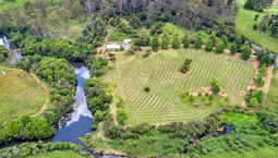 Picture of 259 Camp Creek Road, LOWANNA NSW 2450